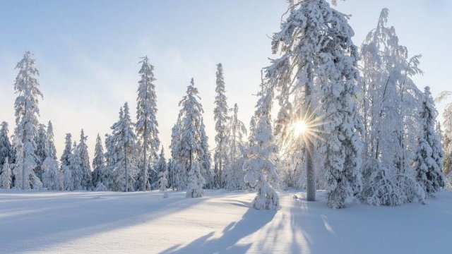 Белое безмолвие.(Et Si Tu N'Existais Pas)