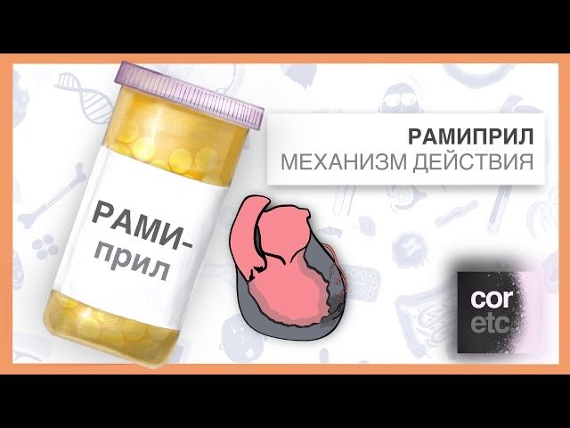 Как работает Рамиприл
