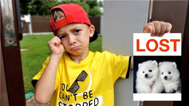 Детская история как Марк потерял собачек Kids story