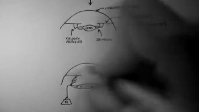 Ciliary Muscle Contraction