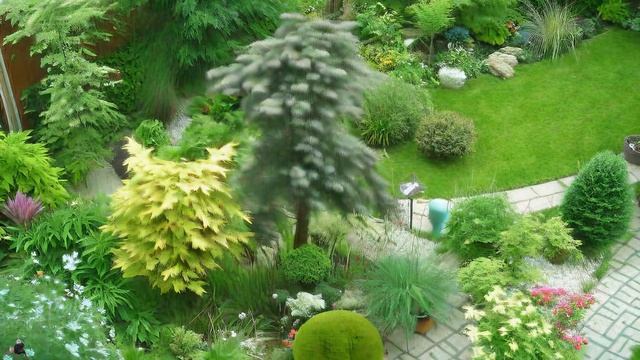 Цветник, в котором сочетаются растения разных видов и сортов. Миксбордеры