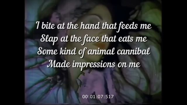 Possibly in Michigan Cannibal Animal (lyrics)