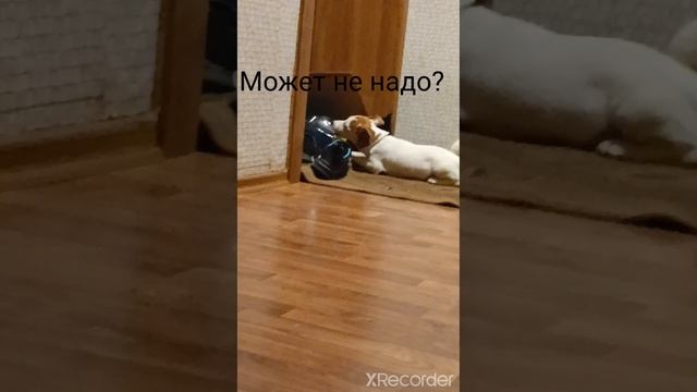 Кега #кега