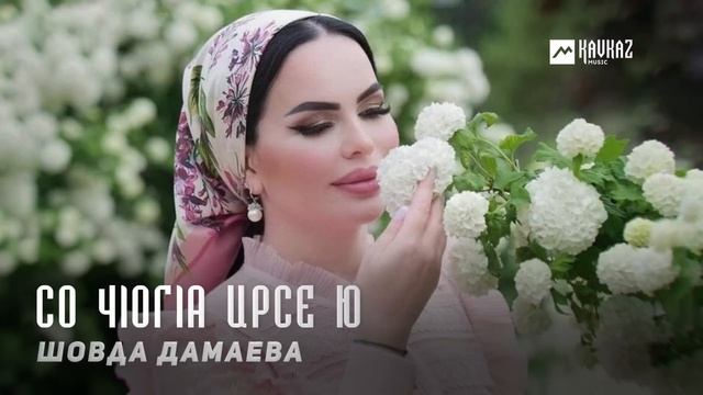 Шовда Дамаева - Со чlогlа ирсе ю | KAVKAZ MUSIC CHECHNYA