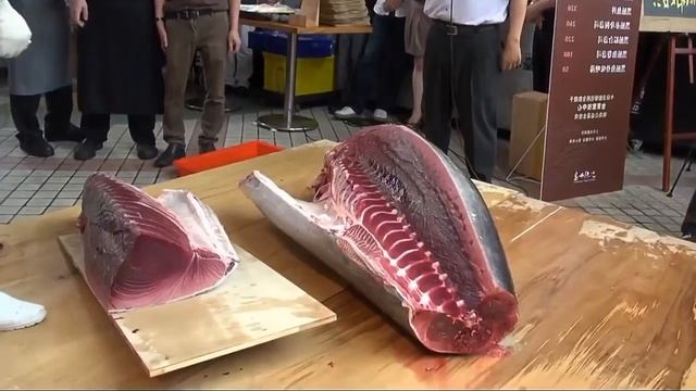 разделка тунца 300кг