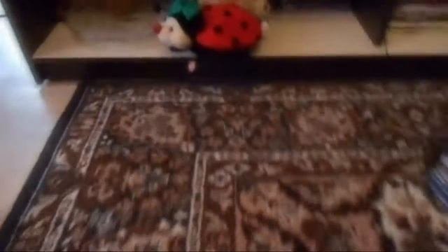 Коллекция игр для ПК Финал