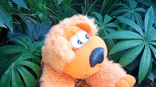 Полезный рассказ о ядовитых растениях