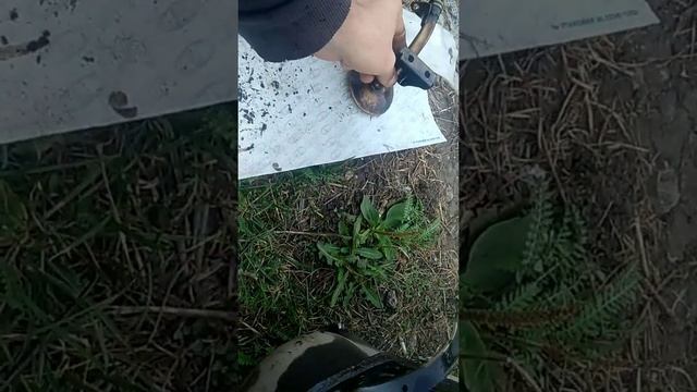 Стук гидрокомпенсаторы ваз 2110 Калина лёгкий дешёвый ремонт своими руками.