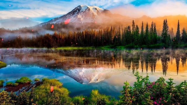 Самая красивая мелодия на свете! Музыка приносит большое счастье  Красивые цветы #21