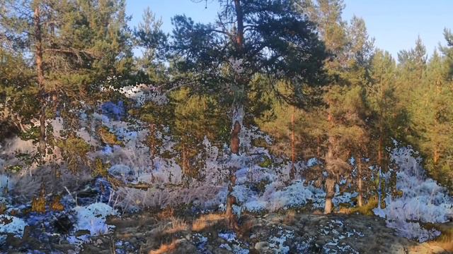 Карелия