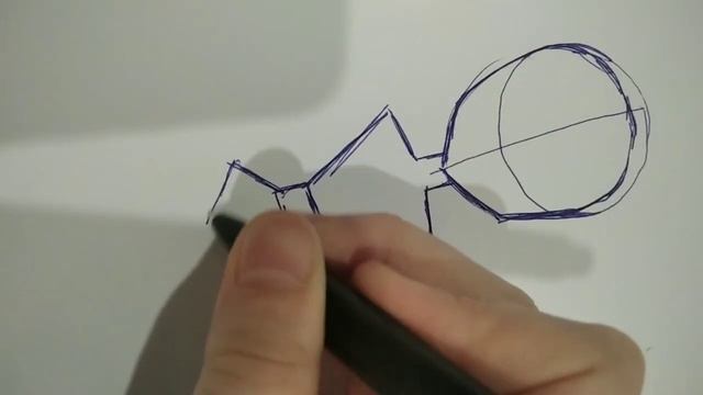 Как нарисовать тело!