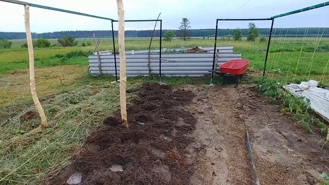 КАК ИЗБАВИТЬСЯ ОТ ПЫРЕЯ. 100% СПОСОБ