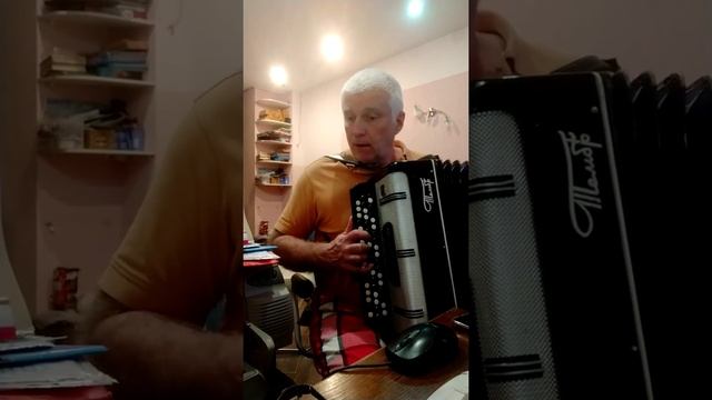 Баян ТЕМБР 3х-голосный многотембровый вологодской фабрики