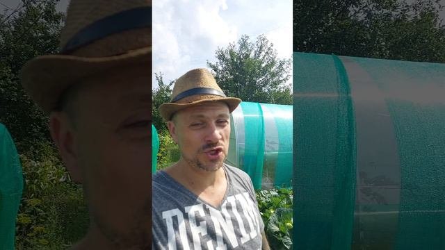 Валерий Лопата. О спорте за границей.