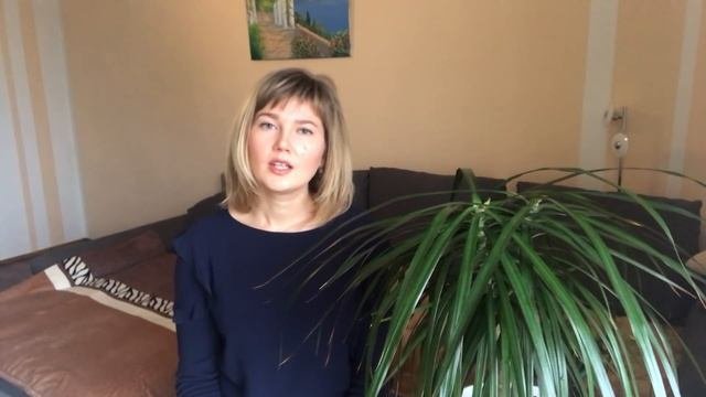 Желтеют, сохнут и опадают листья Драцены. Основные причины и полезные советы