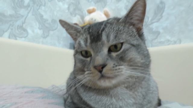 ЛЮБОВНОЕ ПИСЬМО И ПОСЫЛКА ОТ СЛАДУНА! ОН ВЛЮБЛЁН