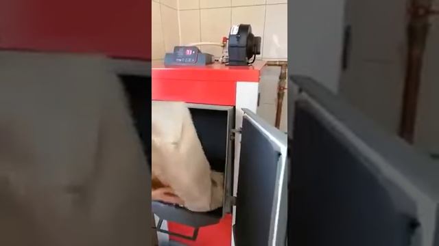 Запуск котла Хайтстехник Q Plus Komfort 15 кВт.