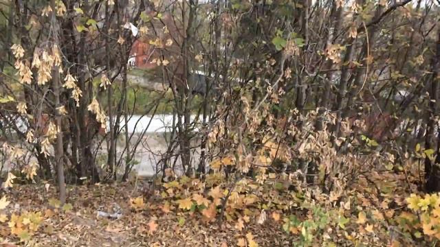 Прокол под ж/д путями