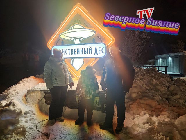 Таинственный лес 2024