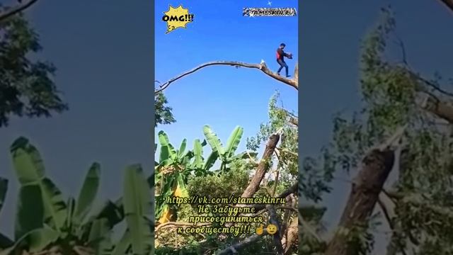 stameskinru.mp4
