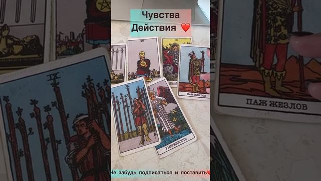 Чувства❤️ Действия✨