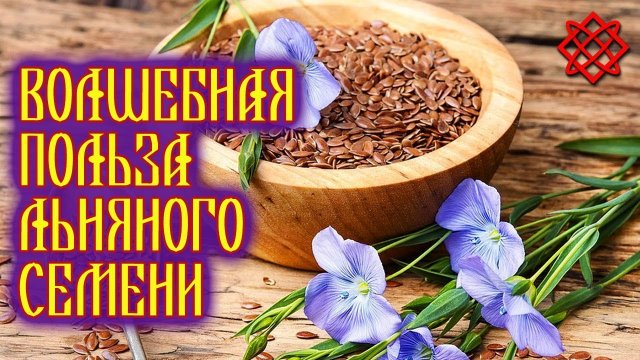 СЕМЕНА ЛЬНА ПОЛЬЗА. Состав Применение и Противопоказания Льняного Семени.mp4