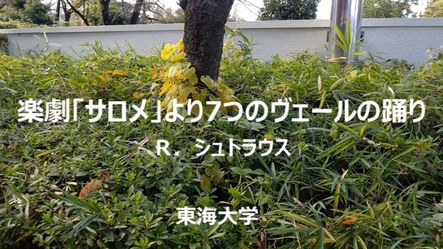 楽劇「サロメ」より7つのヴェールの踊り R.シュトラウス(東海大学吹奏楽研究会)