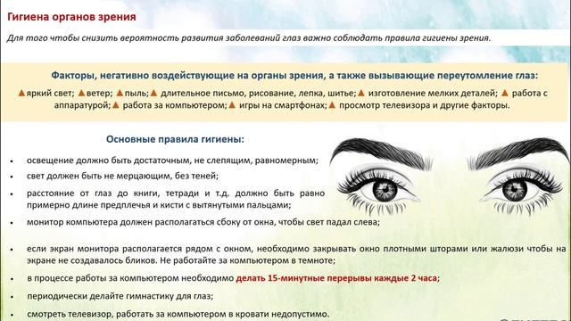 Здоровый образ жизни. Личная и общественная гигиена.