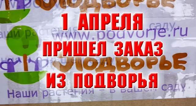 1 апреля. Какой заказ пришел из Подворья
