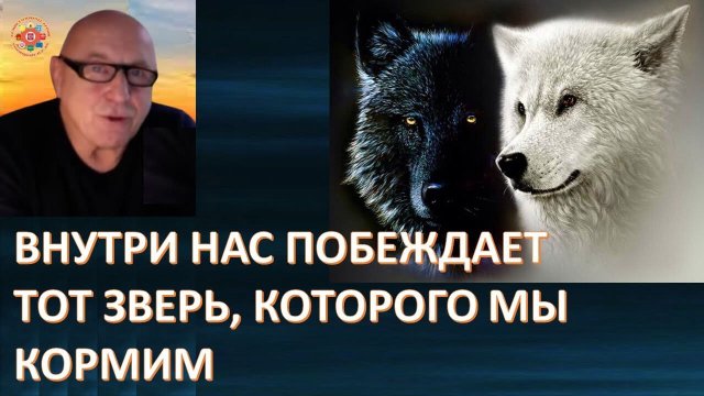 Давид Шмидт о высоких вибрациях, формирующих гармонию мира