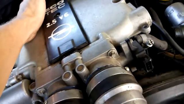 Замена температурного датчика опель омега б 2.5