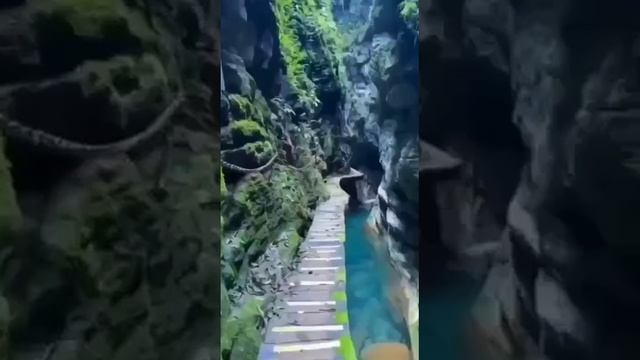 Как прекрасен этот мир...