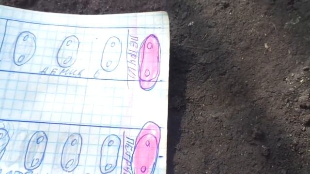 ТОМАТ ПЕТРУША ОГОРОДНИК - КАК ФОРМИРОВАТЬ В ТЕПЛИЦЕ? Ольга Чернова.