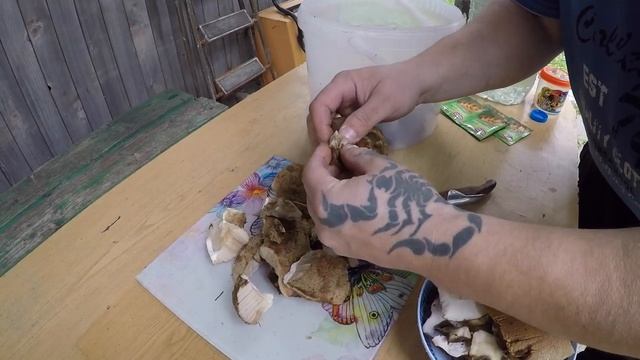 КАК ВЫРАСТИТЬ ГРИБЫ НА ДАЧЕ ДЕЛАЕМ МИЦЕЛИЙ ПОДБЕРЁЗОВИКОВ ШАМПИНЬОНОВ САЖАЕМ ГРИБЫ НА СВОЁМ УЧАСТКЕ