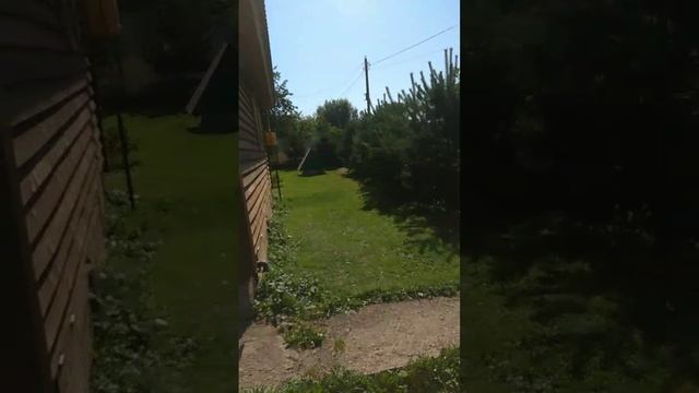 Жара и тень