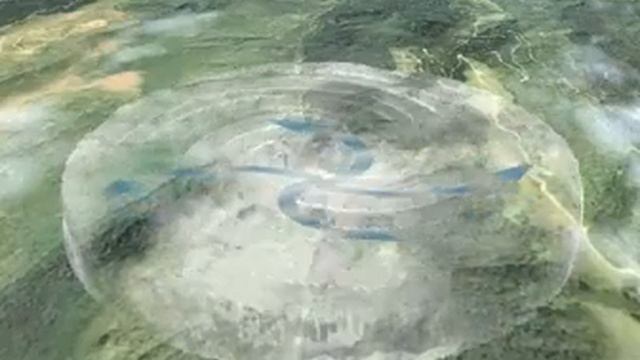 Антициклон