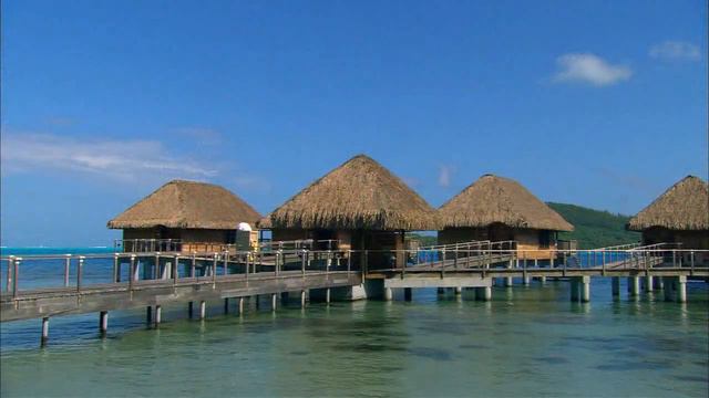 Крис Ри.   В ожидании лета