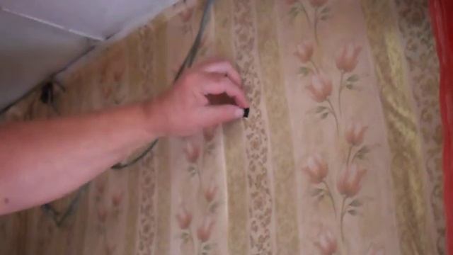 Как избавиться от ос в доме.