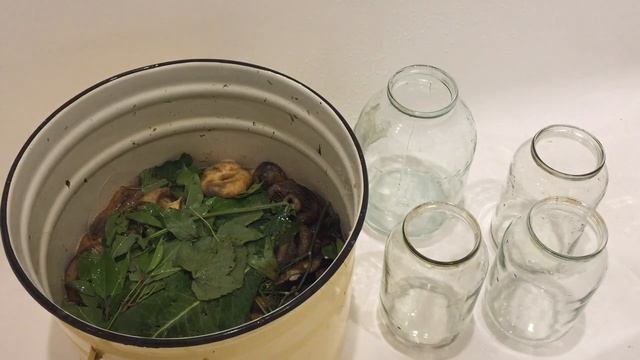 Солим грибы холодным способом