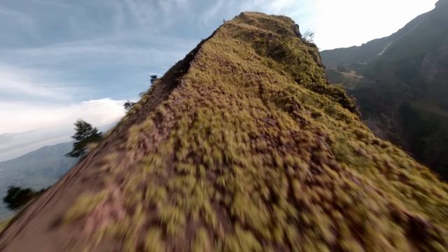 FPV дроны – с чего начать в 2023? DJI O3