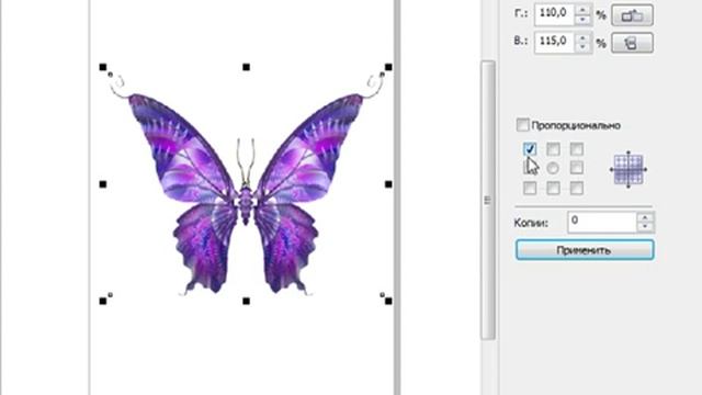 Изменение размеров растровых изображений в CorelDraw