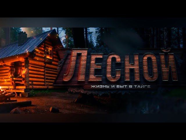 ЛЕСНОЙ в Деле... Проект "БАНЯ в ЛЕСУ"  продолжается. Весна, Тайга, Изба...