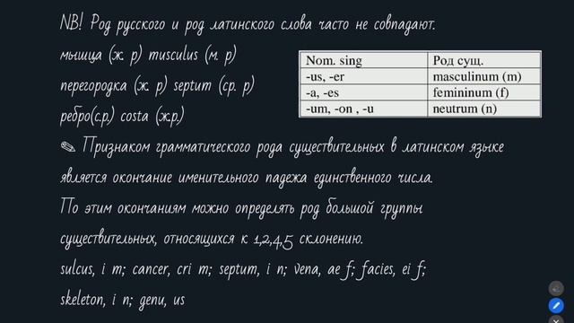 Латинский язык для медиков #2 Имя существительное, склонения, структура анатомического термина