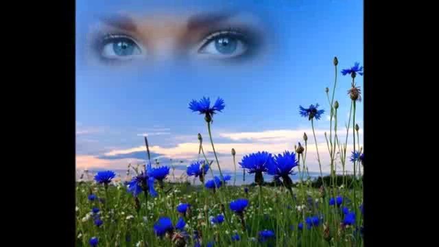 поёт Ион Суручану Любовь _ Счастье и Грусть