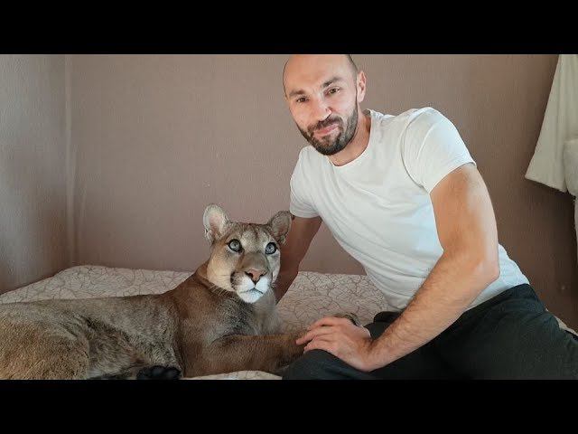 Анатомия кошки с Дмитриевым. Стрижём когти