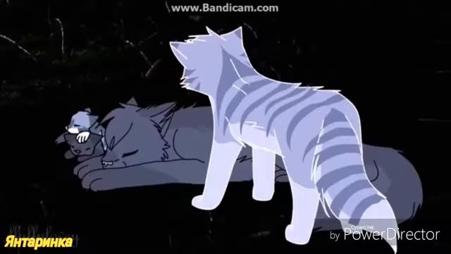 [Коты воители] Колыбельная ,,Мне бы крылья,чтобы укрыть тебя"