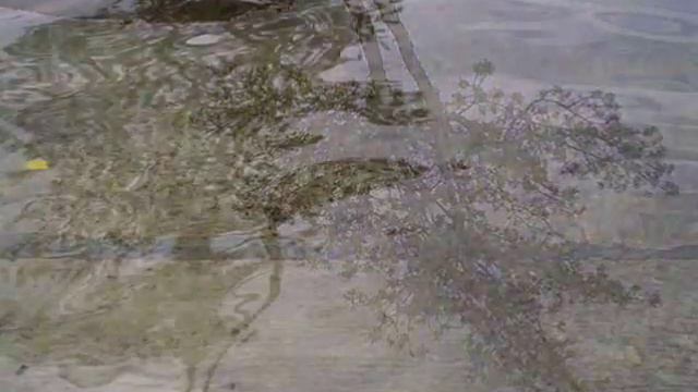 Песня Тургояк