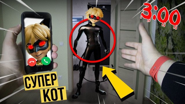 ПОЗВОНИЛ СУПЕР КОТ НА ВИДЕОЗВОНОК В 3 ЧАСА НОЧИ! СУПЕР КОТ В РЕАЛЬНОЙ ЖИЗНИ