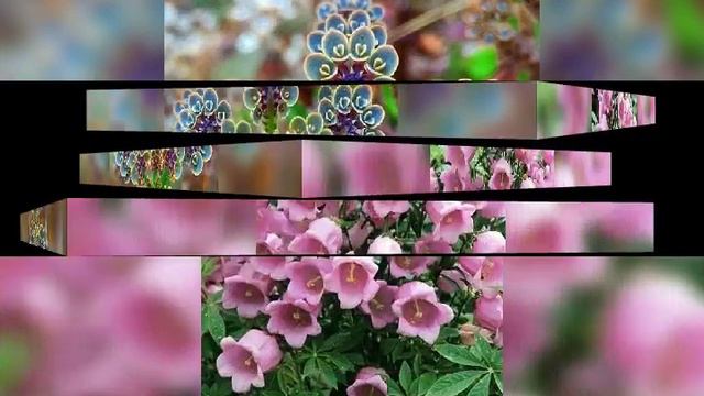 Валлерий леонтев августин