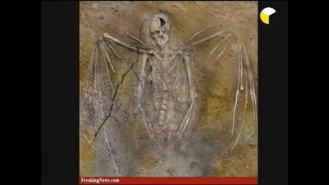Книга Еноха. Падшие ангелы и великаны. Фильм Галины Царёвой